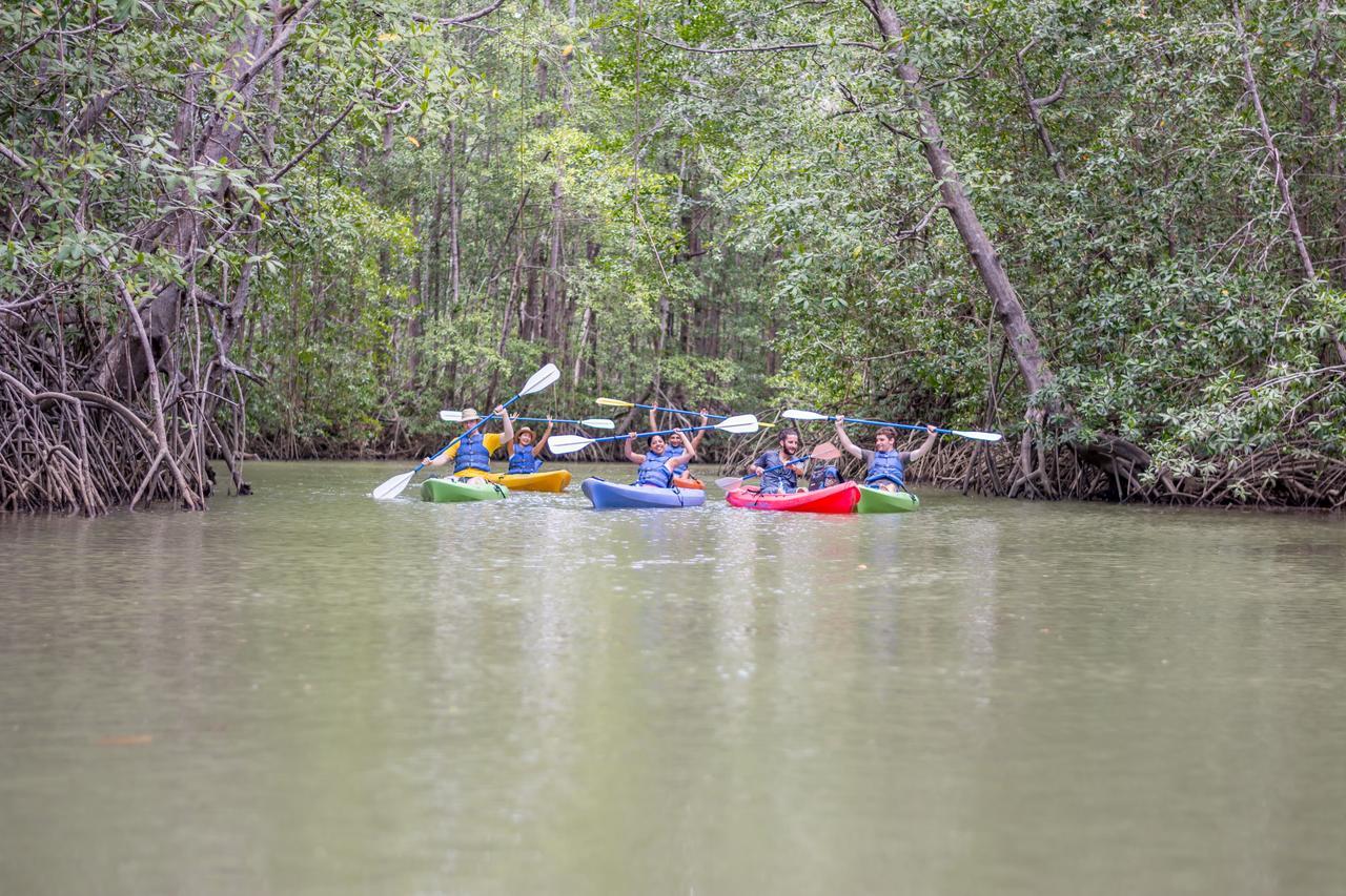 Damas Kayak Lodge מראה חיצוני תמונה