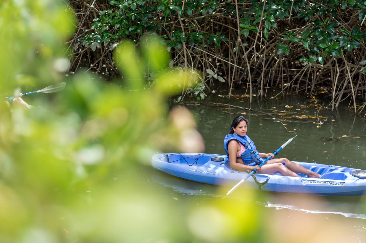 Damas Kayak Lodge מראה חיצוני תמונה