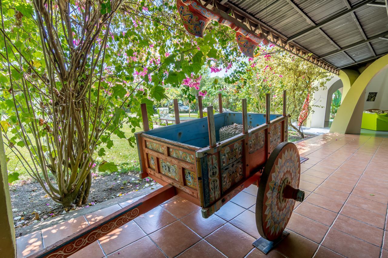 Damas Kayak Lodge מראה חיצוני תמונה