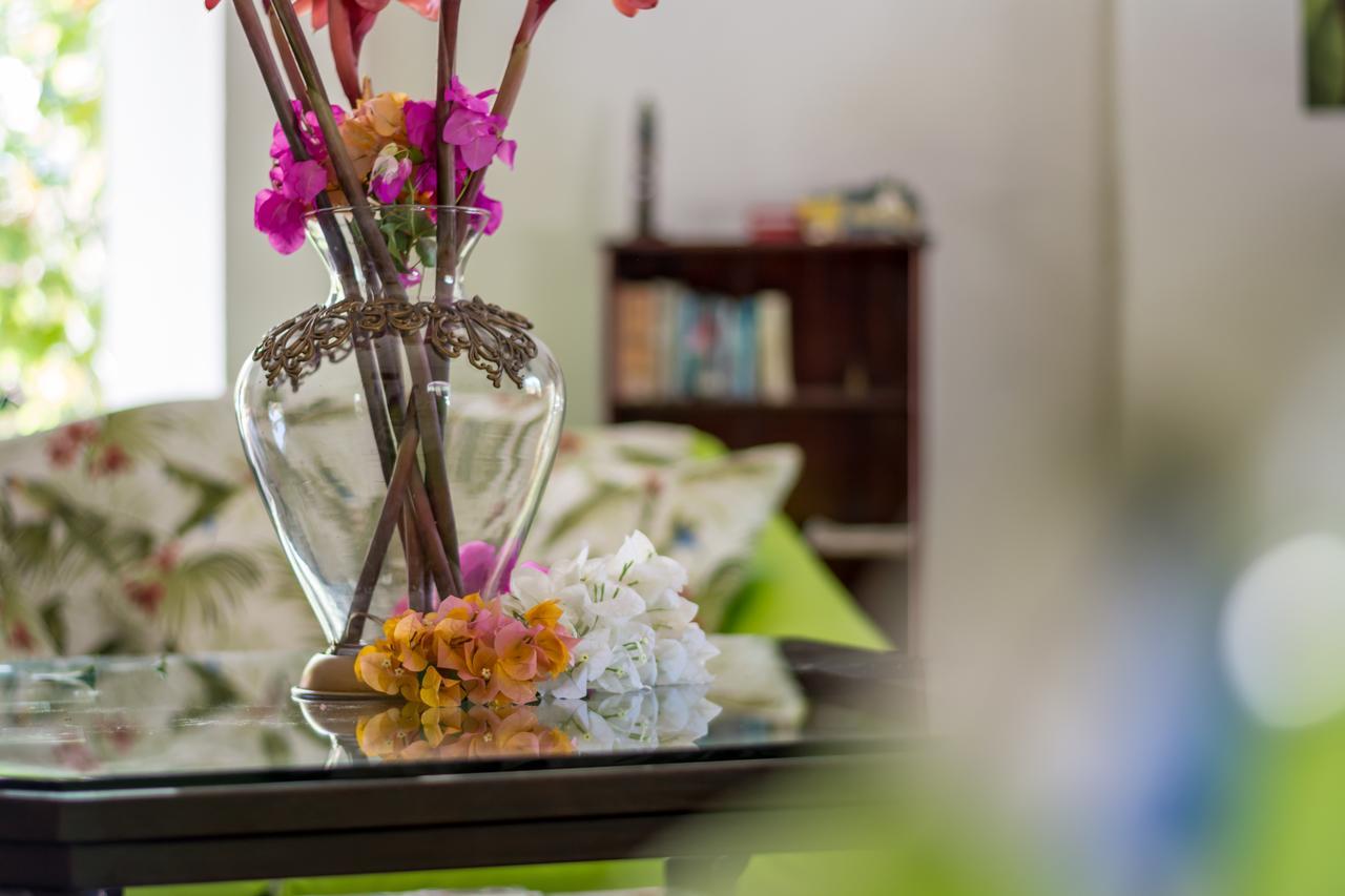 Damas Kayak Lodge מראה חיצוני תמונה
